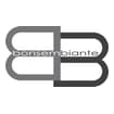 Logo Bonsembiante Stefano Srl