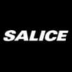 Logo Arturo Salice Spa