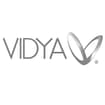 Logo Vidya Srl