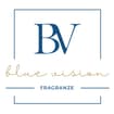 Logo Blue Vision - C & G Srl