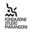 Logo Iniziative Di Fotografia Contemporanea Srl