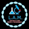 Logo L.a.m. Laboratorio Analisi Mediche Assemini Srl
