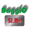 Logo Baggio Srl