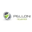 Logo Pelloni Auto Spa