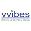 Logo Seeds Technologies Italia Srl