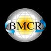 Logo Bmcr Srl