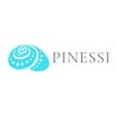 Logo Pinessi Srl