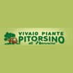 Logo Vivaio Piante Il Pitorsino S.s. Società Agricola Di Nannini Gior Io E Fabrizio