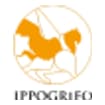 Logo Associazione Ippogrifo