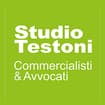 Logo Studio Testoni Società Tra Professionisti Srl O In Forma Abbreviata Studio Testoni Stp-Srl