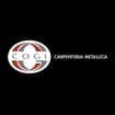 Logo Cogi Srl