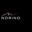 Logo Norino Extension Milano Srl
