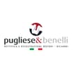 Logo Pugliese & Benelli Di Antonio Pugliese S.n.c.