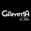 Logo Gamma Srl