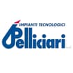 Logo Pelliciari Srl