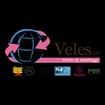 Logo Veles Srl
