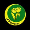 Logo Pizzigoni Alessandro
