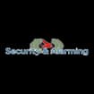 Logo Security & Alarming Srl