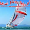 Logo Vuoi Fare Vela? Di Samuel D'angelo