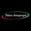 Logo Peloso Autospurghi Di Peloso Nicolas