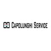 Logo Capolunghi Srl