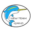 Logo New Team Giano Srl
