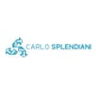 Logo Carlo Splendiani Srl