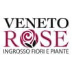 Logo Veneto Rose Srl