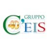 Logo Consorzio Gruppo Ceis Cooperativa Sociale