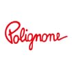 Logo Polignone Srl