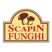 Logo Scapin Funghi Srl