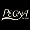 Logo Pegna Dal 1860 Srl