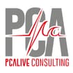 Logo Pcalive Consulting Srl