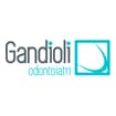 Logo Gandioli Srl
