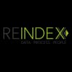 Logo Reindex Srl