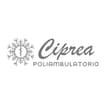 Logo Ciprea Srl