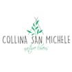 Logo San Michele Srl