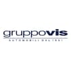 Logo "Gruppovis Spa"