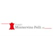 Logo Gruppo Montervino Pelli Srl