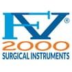 Logo Fv 2000 Srl Semplificata
