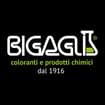 Logo Bigagli Srl