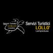 Logo Servizi Turistici Lollo'di Maggiore Salvatore