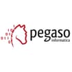 Logo Pegaso Informatica S.n.c. Di Pitisci Emanuele, Sabatini E Vallosc Uro & C.