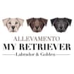 Logo Allevamento My Retriever Società Agricola