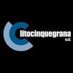 Logo Lito Cinquegrana Srl