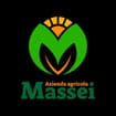 Logo Massei Massimiliano E Roberto Società Agricola Semplice
