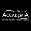 Logo Nicotra Gabriele Srl