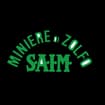 Logo Saim Miniere Di Zolfo Srl