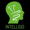 Logo Intelligo Srl