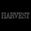 Logo Harvest Communication Srl